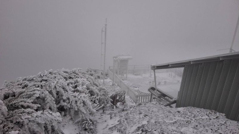 玉山累積積雪1公分並持續降雪，一片銀白世界宛如仙境。（翻攝自臉書粉專報天氣 - 中央氣象署）