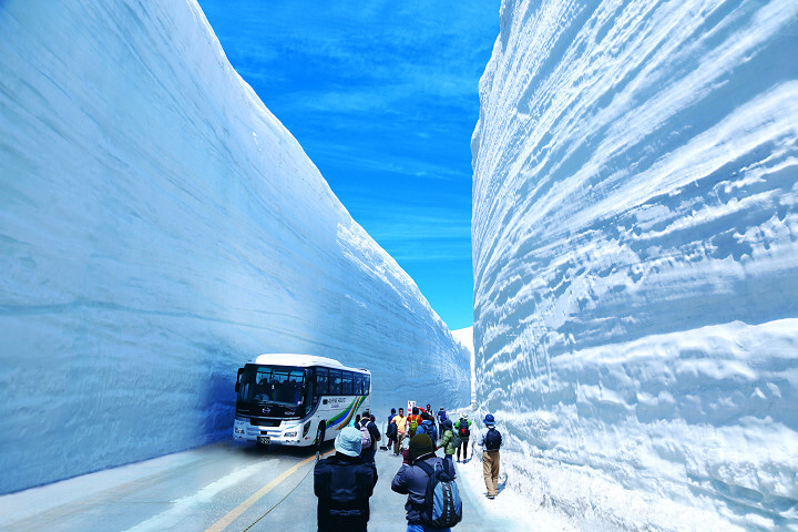 ▲2025年的雪之大谷高度可望超過去年，令人期待。　圖：（公社）富山觀光推進機構／提供