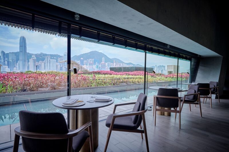 Mosu Hong Kong香港M+的天台花園，繽紛花圃後方便是香港天際線。（翻攝自Mosu Hong Kong官網）