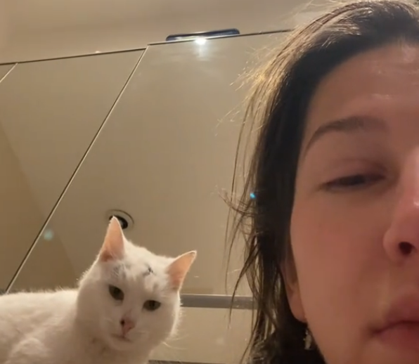 女子凌晨在自家上廁所竟被鄰居貓咪盯著看