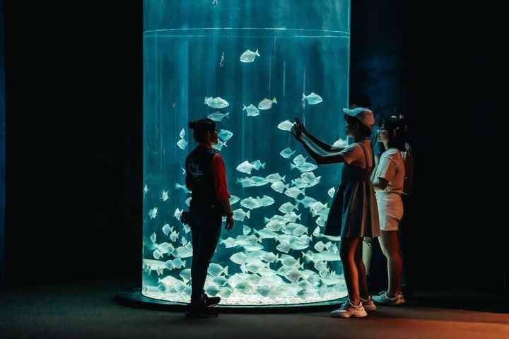 ▲夜宿海生館帶大家探索夜晚裡的海洋世界。　圖：國立海洋生物博物館／提供