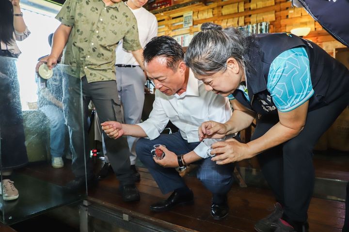 ▲嘉義縣縣長翁章梁（中）觀賞魚群優游。　圖：嘉義縣政府新聞行銷處／提供