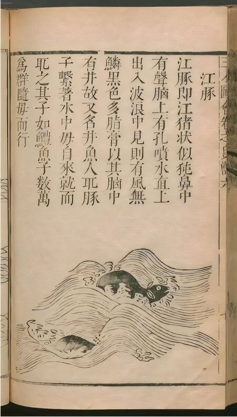 本研究透過詩人的觀察與書寫,補足了缺乏歷史數據的空白。(翻攝自《三才圖會》)