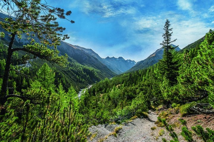 ▲位於下恩加丁地區的瑞士國家公園。　圖：Schweizerischer Nationalpark Hans Lozza／來源