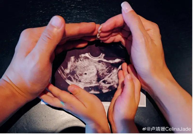 ▲盧靖姍與韓庚開心地宣布二寶的到來,吸引許多粉絲前來祝福。(圖/盧靖姍微博)