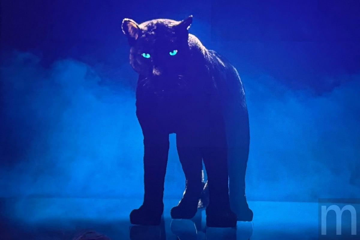 Intel 18A 製程打造 Panther Lake 的架構效能 能否提供更高市場競爭力?