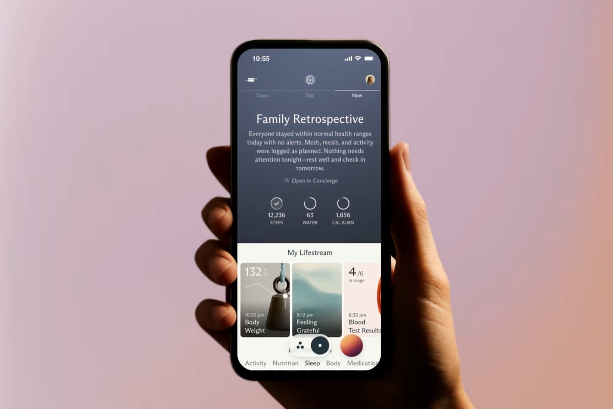 Fitbit 創辦人成立新創 Luffu 聚焦 AI 智慧居家健康管理