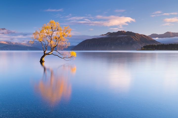 ▲瓦納卡湖最美仙境與孤獨樹。　圖：shutterstock／來源