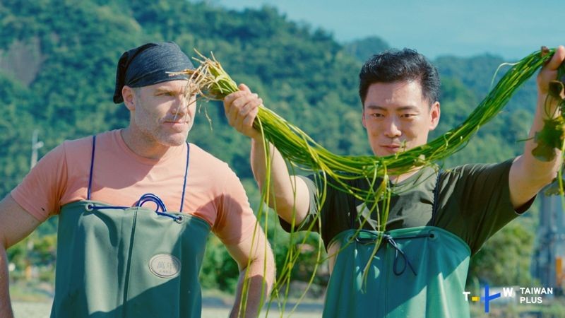 Jason(右)和Trevor(左)穿著青蛙裝下水體驗採收水蓮。(TaiwanPlus提供)