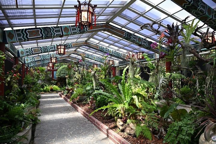 ▲漫步於綠意盎然的熱帶植物園林中。　圖：臺北市政府工務局公園路燈工程管理處／提供