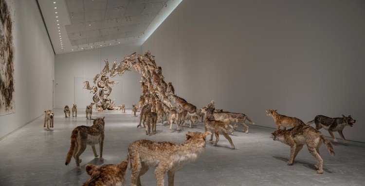 日本直島新美術館新展覽