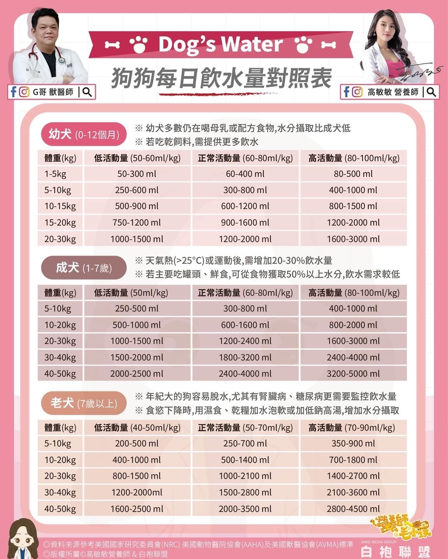 **毛孩健康指南:如何確保狗狗每日飲水充足?**