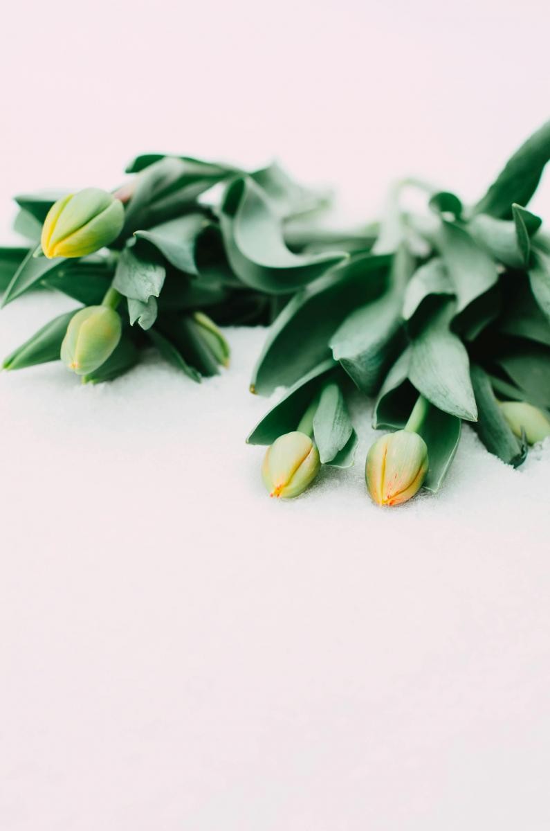 根據命理學,每個人的「桃花位」不同。你可以提供詳細生日給 ChatGPT,請它幫你算出桃花位,並在該方位擺上鮮花、紅色物品或香氛蠟燭,活絡空氣與情感能量。