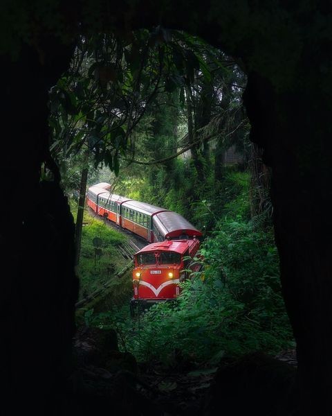 ▲阿里山森林小火車。　圖：嘉義縣文化觀光局／提供