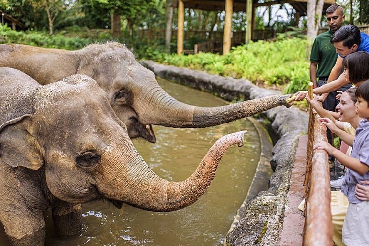 萬態野生動物園（Rainforest Wild Asia）因為大量保留自然景觀與原生動物，結合高科技體驗，已成為不少人造訪新加坡必去的景點。