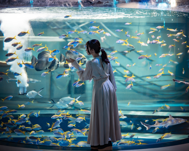 ▲新型城市水族館「AQUARIUM×ART átoa」。　圖：AQUAMENT／提供