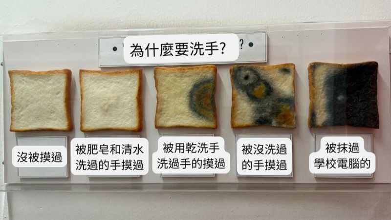傑登醫師在實驗中示意不同狀態下觸摸吐司。圖為5片吐司放置後的比較照,展示不同手觸摸後的霉菌程度。(翻攝自臉書@傑足先登 傑登醫師)