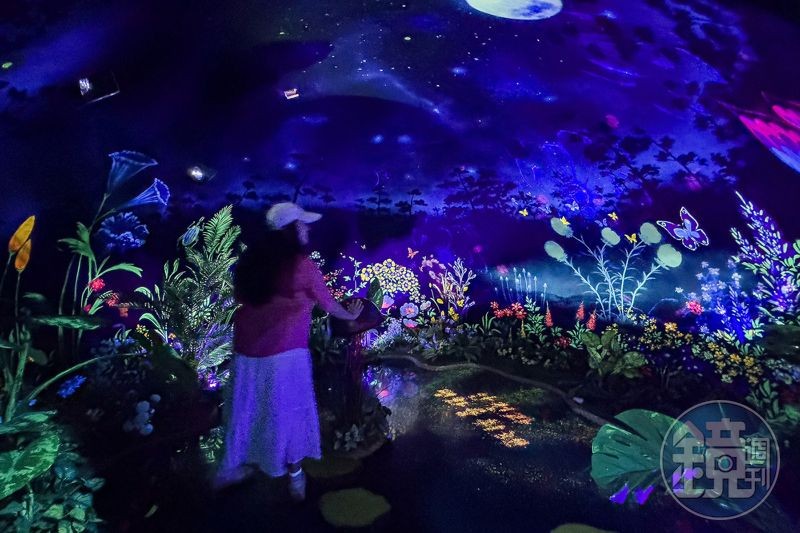 在DMZ生動體驗館，以VR與投影互動體驗，讓歷史與生態以嶄新方式呈現。