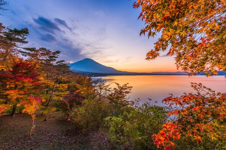 ▲山中湖「夕燒之渚」。　圖：太平洋旅行社／提供