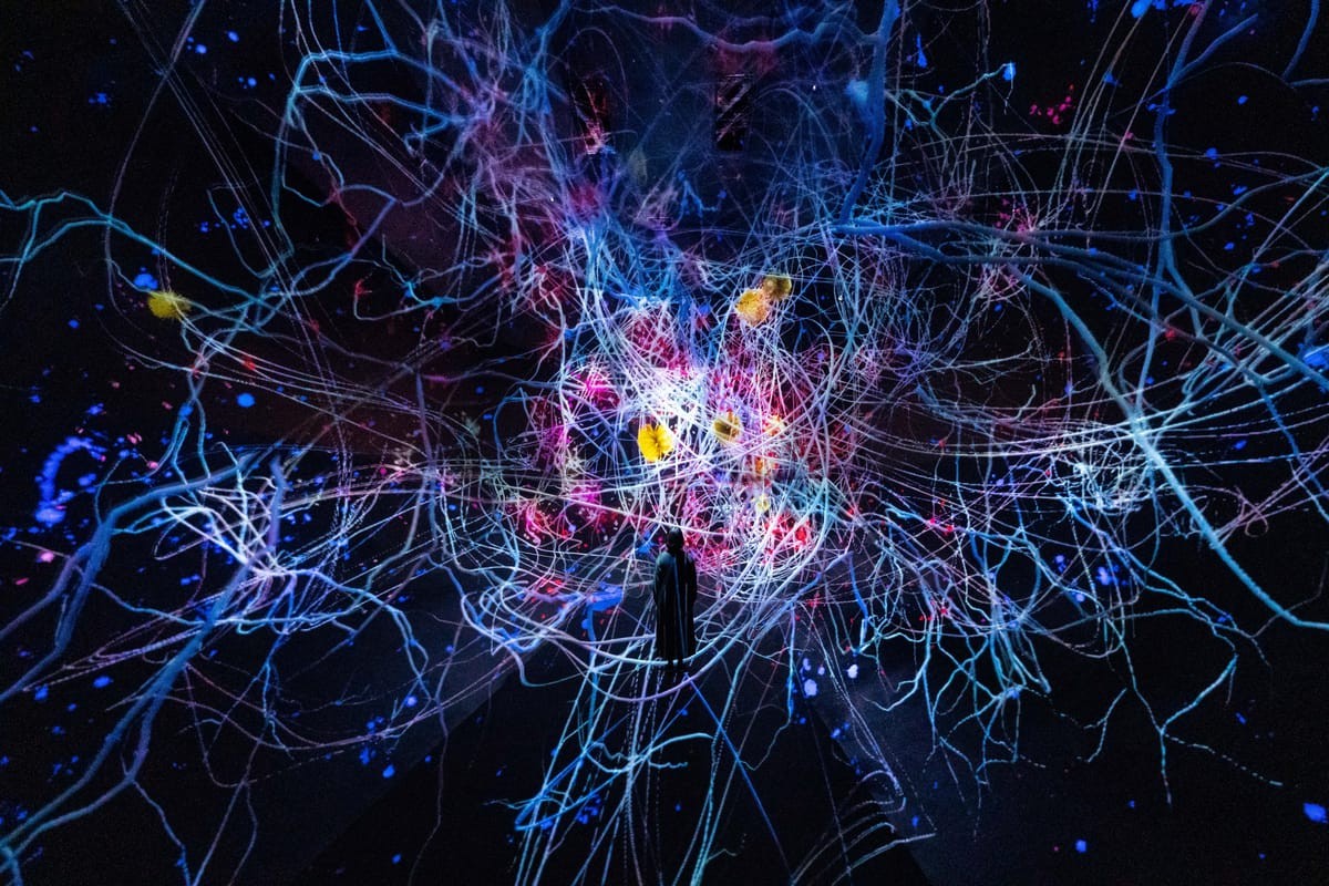 歡迎來到uniopen 新聞- 享生活- 日本最大teamLab在京都！7大重點整理：展區、價格、交通一次看