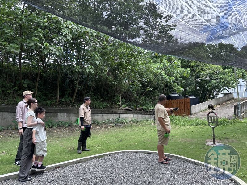 進階版是對飛接鷹、親手餵食等,近距離與猛禽認識。