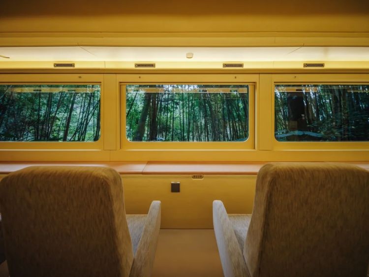 除了既定路線行程，阿里山森林火車「栩悅號」更與「雄獅旅遊」合作，推出跨年主題行程：2026 阿里山第一道曙光｜栩悅號「北門站 - 奮起湖」森林導覽列車。從日式百年古蹟「北門車站」出發，一路行經「腦寮站」、「梨園寮站」，最後抵達最高海拔老街「奮起湖車站」，隔日於阿里山森林遊樂區迎接新年曙光，兩天一夜行程，定價新台幣 7,699 元起。