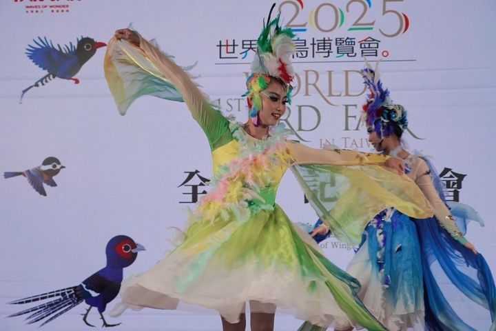 ▲舞蹈詮釋鳥之美－培培動態藝術中心帶來《羽語台灣－羽之頌》舞蹈演出，以舞姿詮釋藍鵲、朱雀等台灣特有鳥類意象，展現自然與藝術的融合。　圖：參山國家風景區管理處／提供