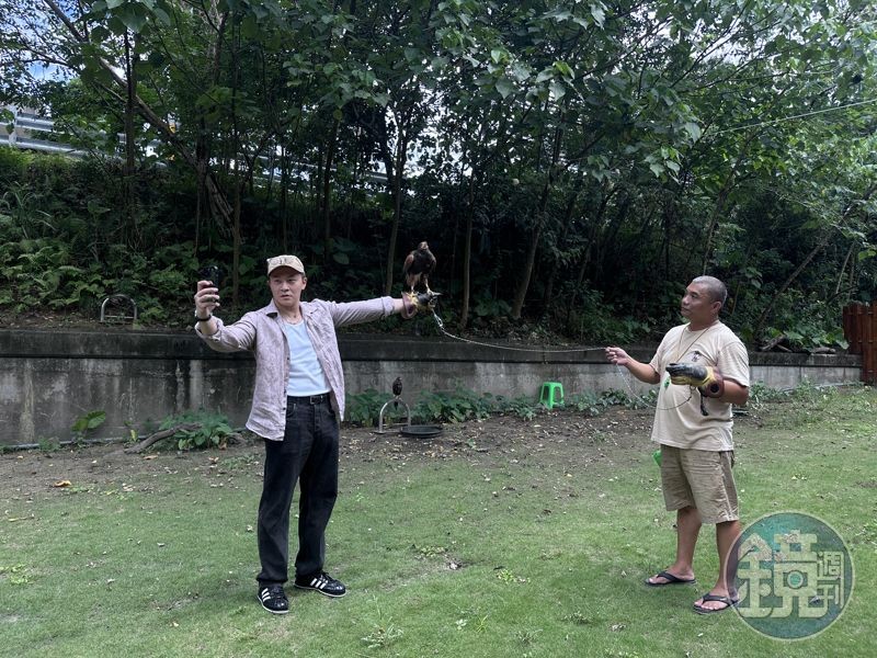 在馴鷹師的專業引導下,遊客也能親自伸出手臂,體驗雄鷹降落的威風瞬間。