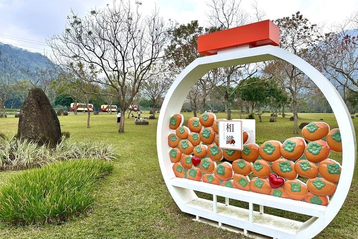▲「牛埔仔愛情大草原」則以廣闊翠綠的視野成為親子與情侶旅遊的首選。 圖:嘉義縣文化觀光局/提供