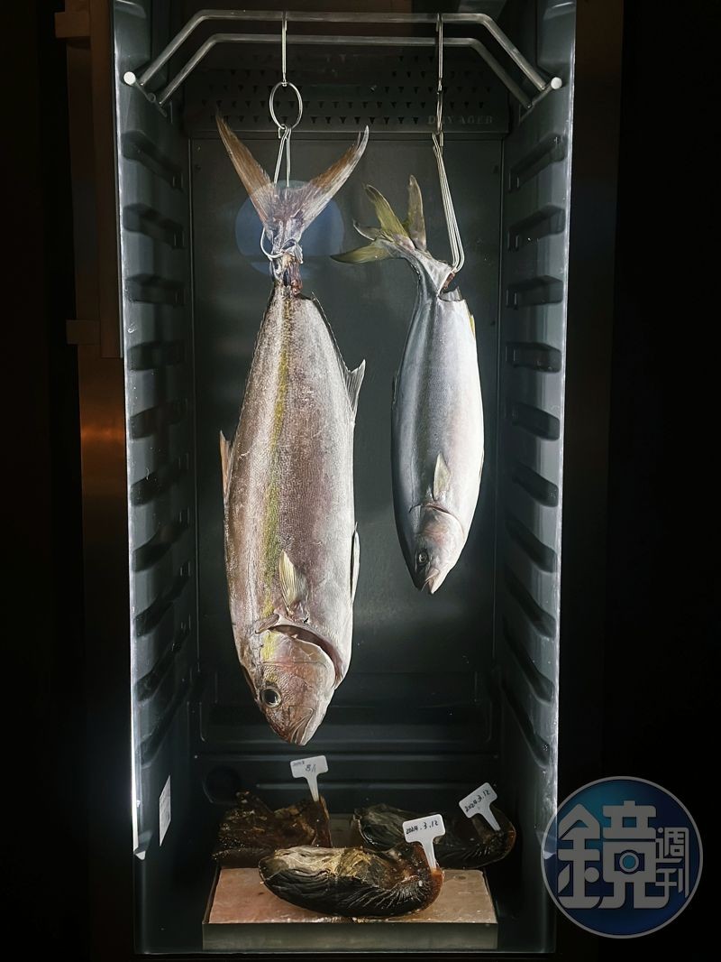 熟成室裡冬天有煙仔虎、鬼頭刀;夏季有紅甘與青甘等不同魚貨,餐點菜色依照季節時令更換。