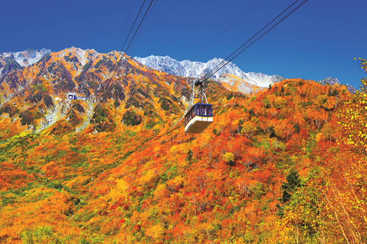 ▲立山架空索道行駛沿途可享受紅葉環繞（往年照片，非即時狀況）。　圖：向日遊／提供