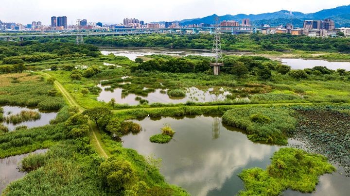 ▲鹿角溪人工溼地作為新北市環境教育場所，提供專業濕地介紹以及周邊生態導覽。　圖：新北市政府觀光旅遊局／提供