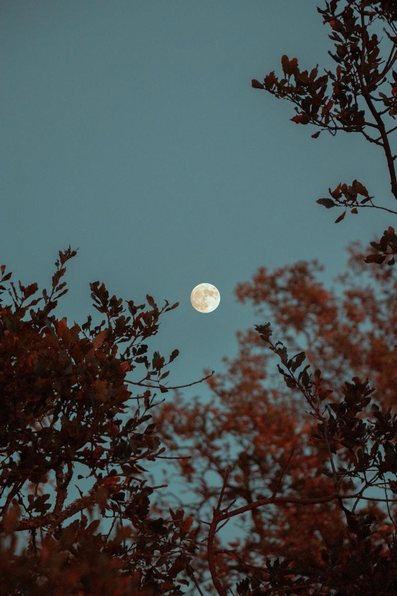 中秋的月光，不只是團圓的象徵，更是一份宇宙賜予的能量禮物。當水晶在月色中被洗滌，不僅是淨化的過程，更像是與自己重新對話的時刻。無論你是為了愛情、財富，還是單純想尋求心靈的平靜，把握一年中最澄澈的月夜，讓水晶與月亮一同閃耀，也許下一個幸運的轉折，就會悄然降臨在你的生活裡。