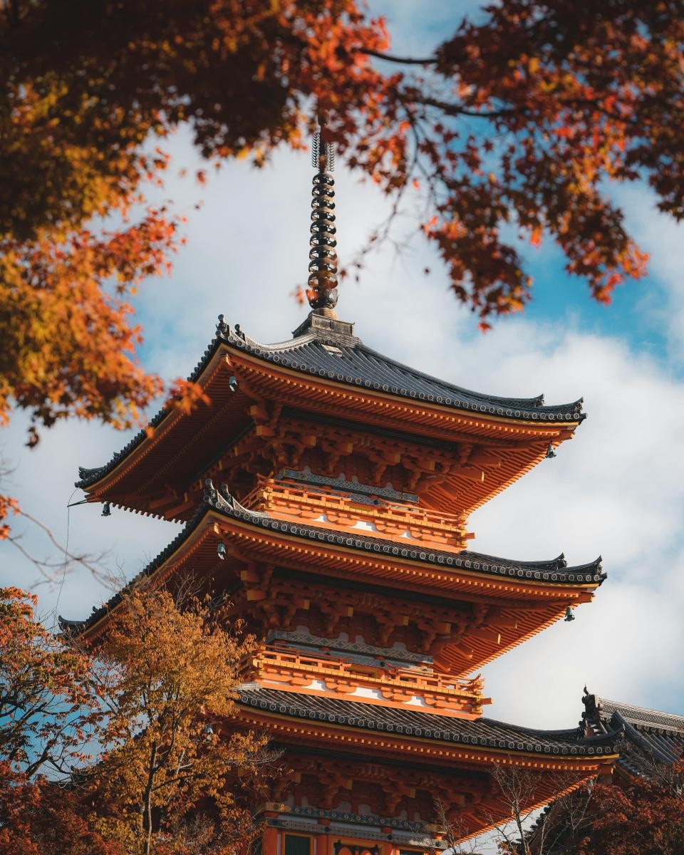 京都楓葉向來是秋季旅遊的代名詞。