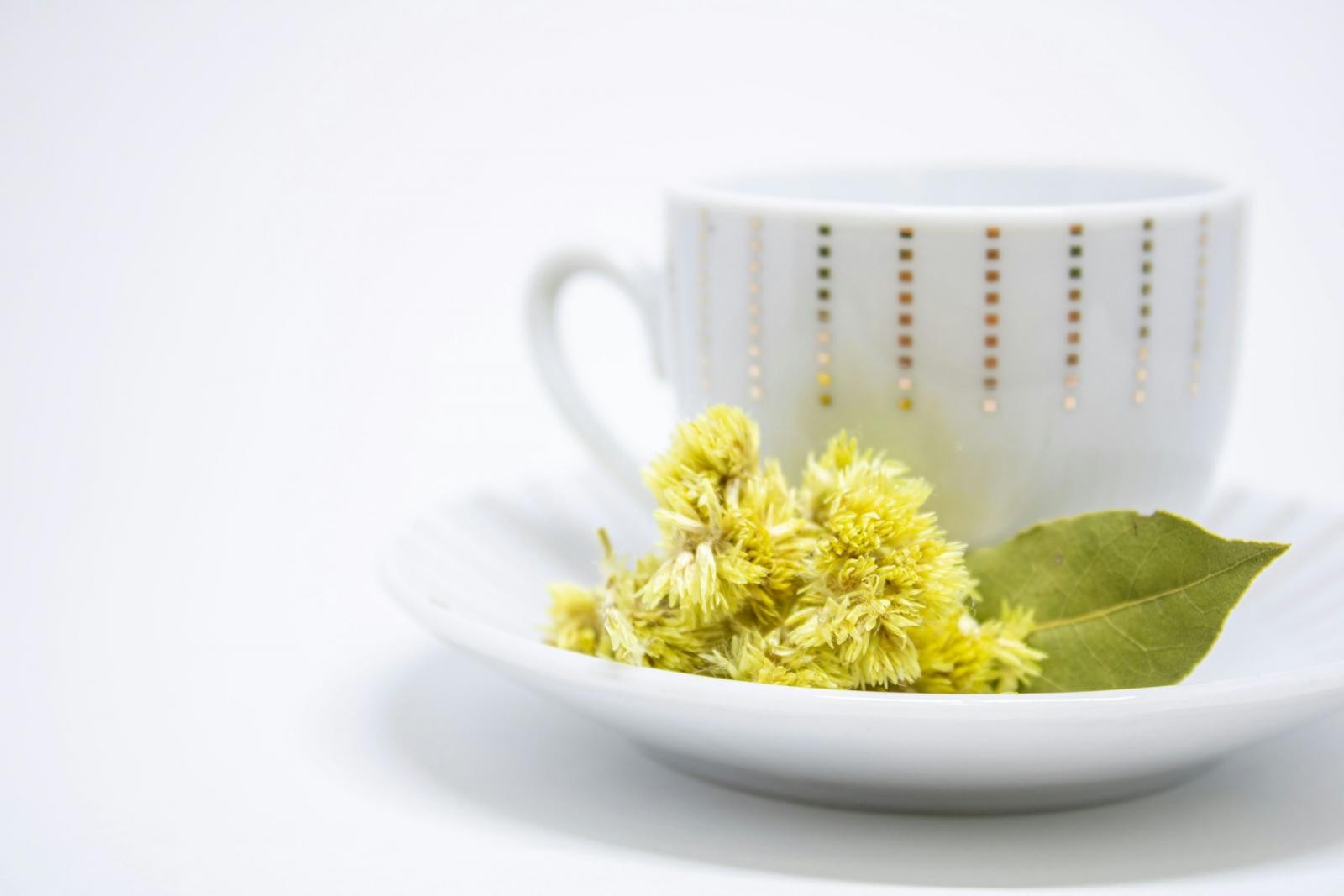 古人有「登高賞菊、飲菊花酒」