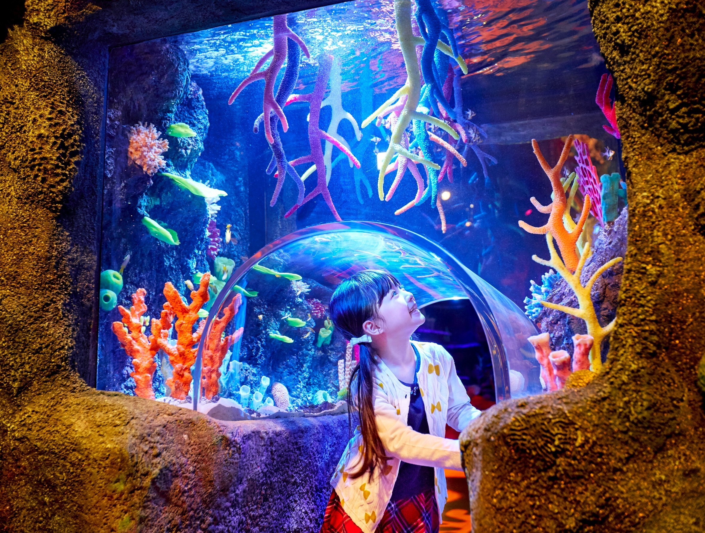 日本樂高樂園®聖誕奇幻之旅:互動燈光秀與解謎活動引爆冬季歡樂