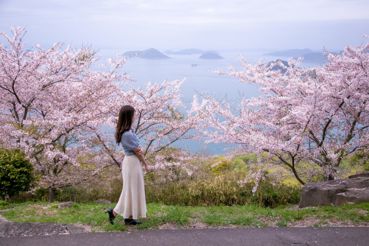 ▲紫雲出山在春天可以拍到櫻花美景。　圖：香川縣觀光協會／提供