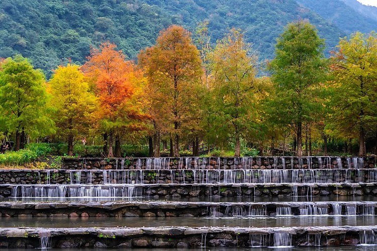 三層坪最迷人的地方,在於它並非刻意打造的景觀公園,而是順應地勢形成的階梯式農塘。原先肩負水土保持功能,園區保留大量自然樣貌,少了人工修飾,多了靜謐與留白。