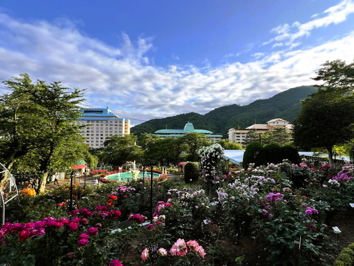 ▲從花卷溫泉玫瑰園眺望「千秋閣」、「花卷館」、「紅葉館」三棟飯店大樓。　圖：向日遊／提供