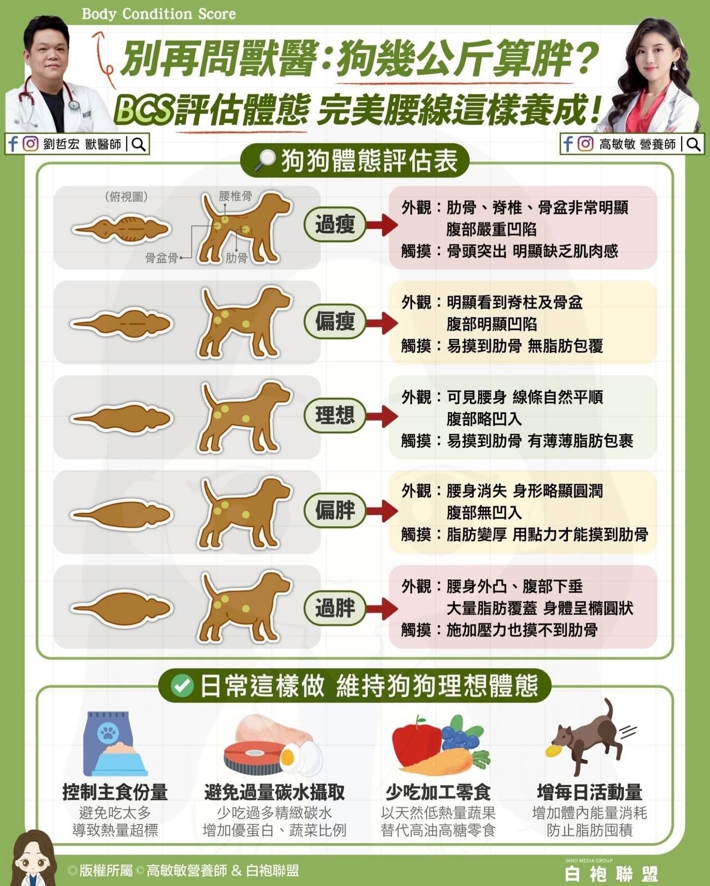 **狗狗健康管理：BCS體態評分助您掌握毛孩健康關鍵**