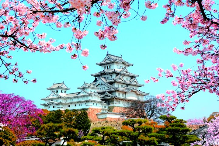 ▲神戶成為台人赴日的新寵。　圖：shutterstock／來源