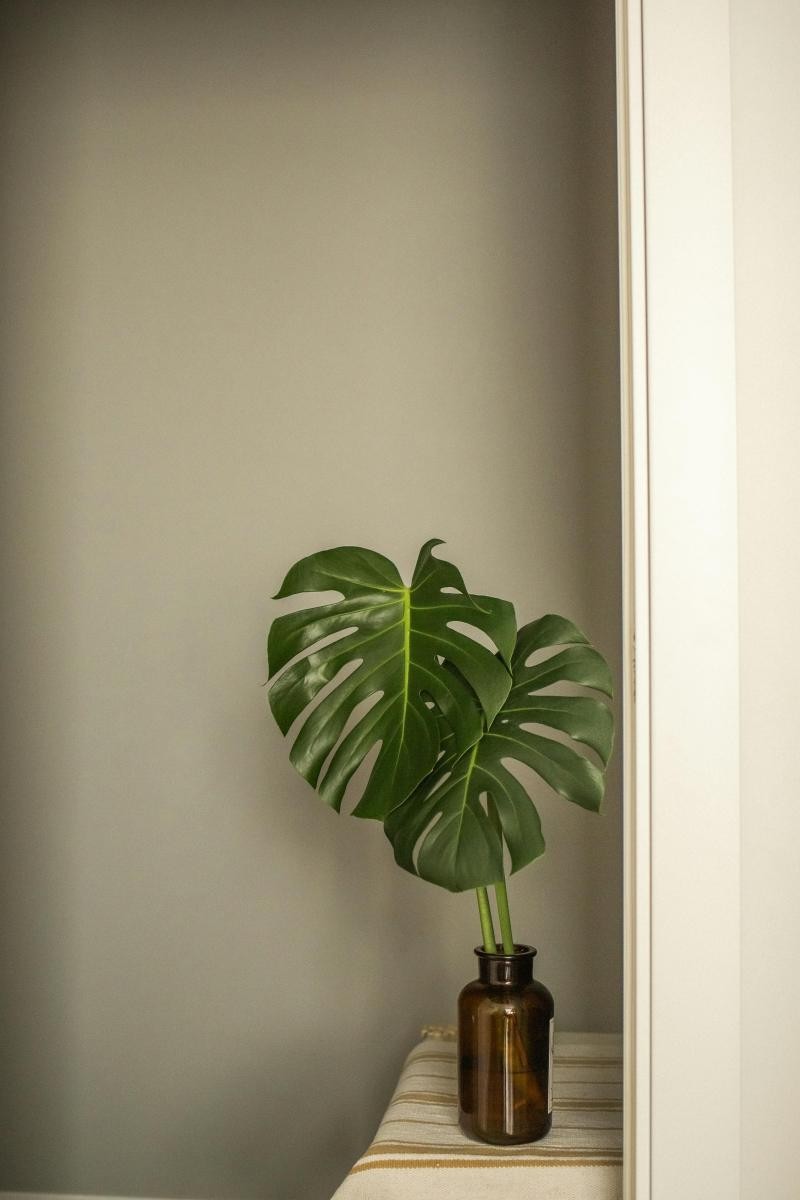 風水實務中,植物被視為「活的能量」,能調節空間氣場、帶來生機。常被提及的富貴竹、發財樹,寓意明確;近年流行的龜背芋、南洋杉,則因葉形舒展、生命力強,也被認為有助穩定磁場。關鍵不在於品項,而在於「健康狀態」。枯黃葉片、積水盆土,都可能被視為氣場衰敗的象徵,反而影響運勢。植物宜擺放在採光良好、空氣流通的位置,如窗邊或客廳角落,避免陰暗潮濕。若生活忙碌,選擇好照顧的品種,才能真正讓植物成為助力,而非心理負擔。
