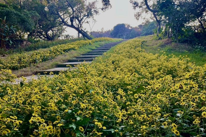 ▲四維生態園區－北側入口。　圖：馬祖國家風景區管理處／提供