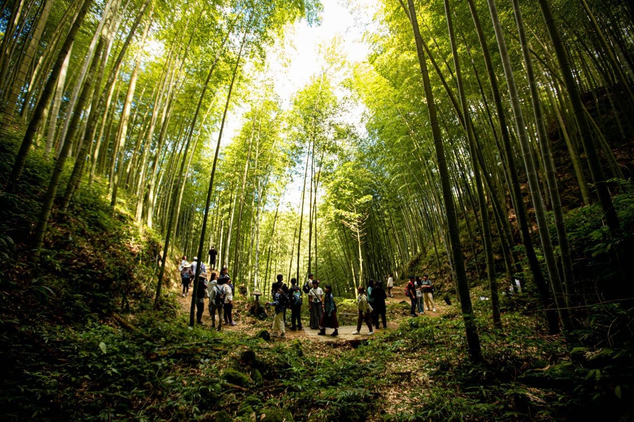 石壁休閒遊憩區坐落於海拔 1,600 至 1,630 公尺的中海拔森林之中,園區內包含穹頂竹棚、微風小築、寂靜區、低語軒等設施。杉木林步道坡度平緩,環境幽靜舒適,遊客可近距離欣賞高聳挺立的杉木林。此外,雲嶺之丘位於雲林、嘉義與南投三縣交會處,具備無遮蔽的環景視野,是觀賞日出、夕陽與群峰景色的絕佳地點。整體設計以「順應自然、減少開發」為核心理念,傳達對自然環境的尊重。