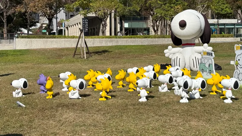 ▲台中市市政公園的史努比立體裝置,有罕見的紫色糊塗塔克。(圖/記者顏幸如攝,2026.01.19)