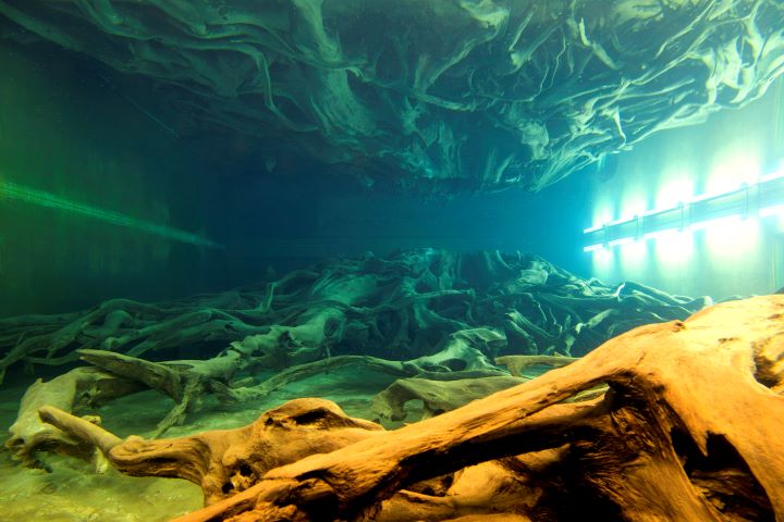 ▲魚津埋沒林博物館。　圖：日本富山縣／提供