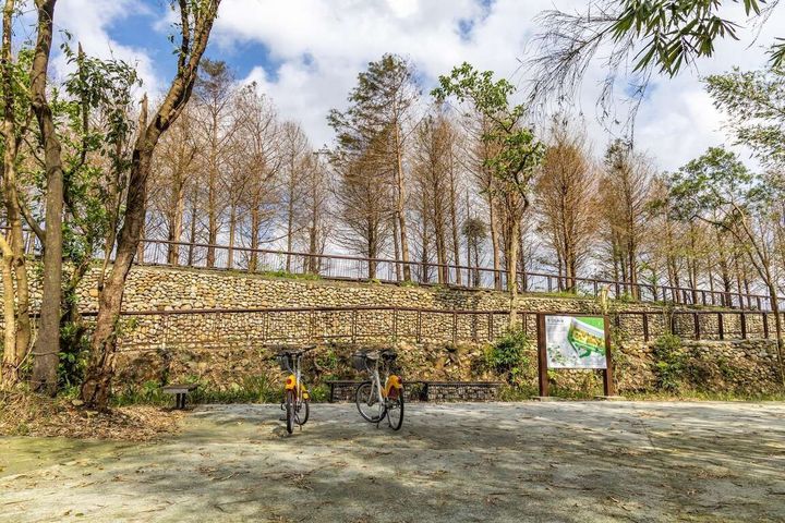 ▲騎乘自行車至「雙溪牡丹落羽松秘境」，感受休閒漫遊之深度旅行（圖為2025資料照）。　圖：新北市政府觀光旅遊局／提供