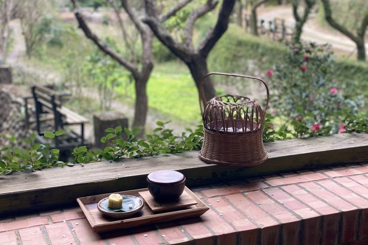 ▲「華陶窯梅花季」期間，規劃花期限定「賞梅品茶趣」行程。　圖：苗栗華陶窯／提供
