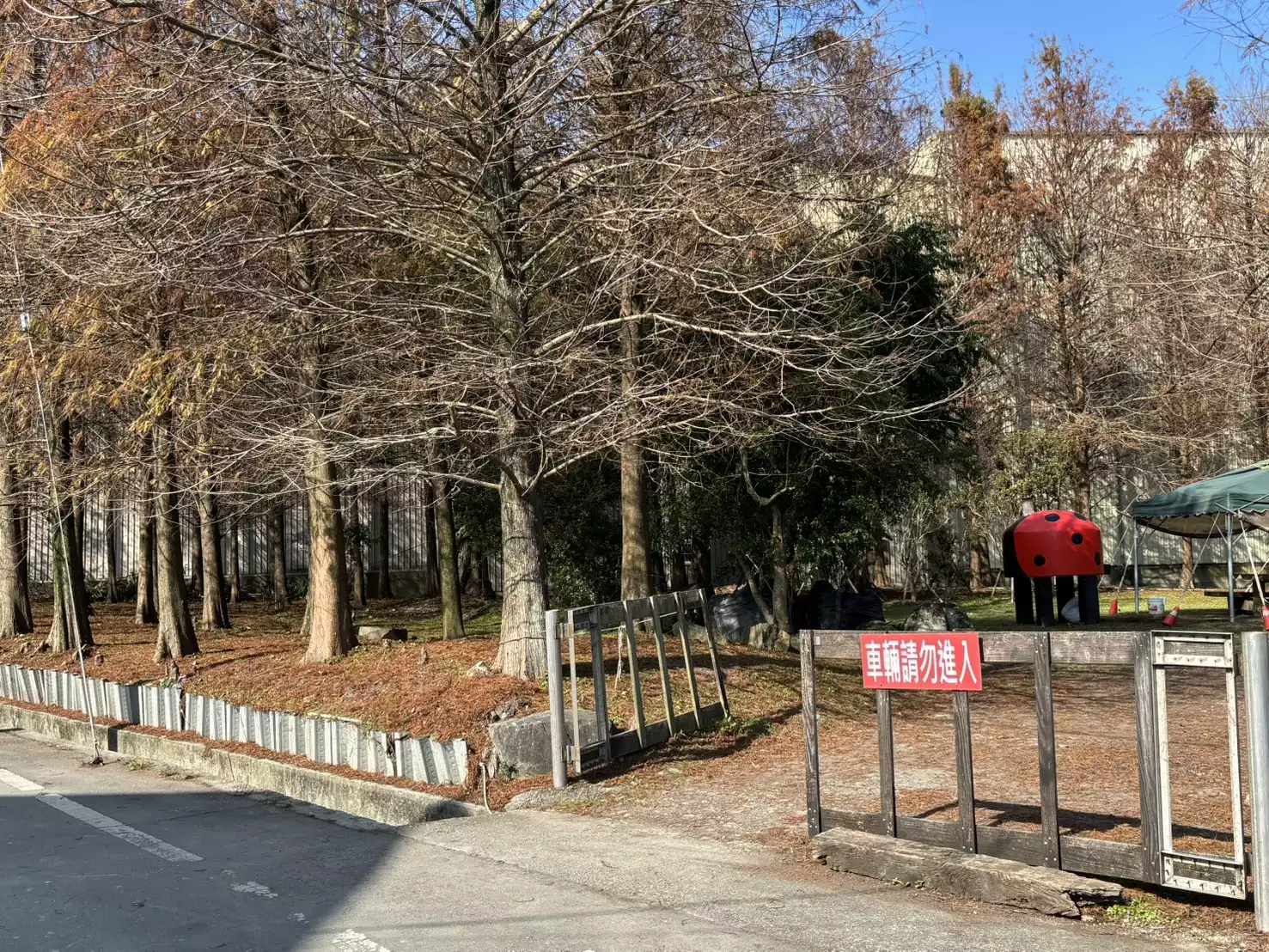 壯圍落羽松位在宜蘭壯圍鄉壯六路、靠近壯六鎮安廟,從台二線濱海公路轉入最容易抵達,Google 導航可直接定位。