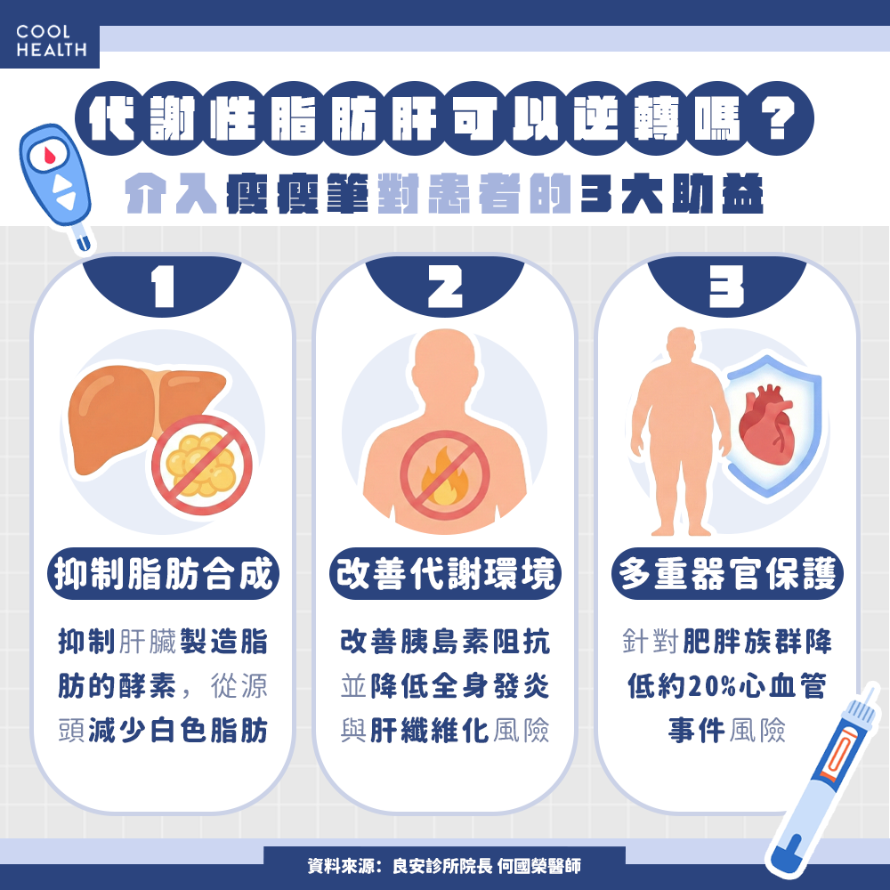 代謝性脂肪肝可以逆轉嗎? 醫提醒:掌握三大關鍵數據